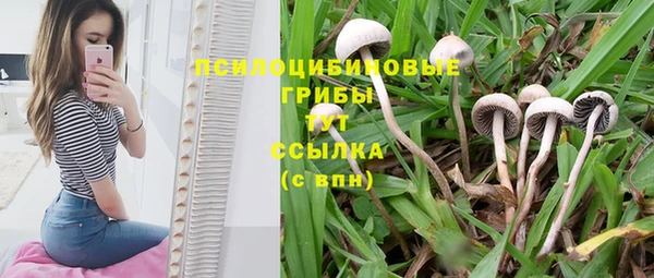 гидропоника Армянск
