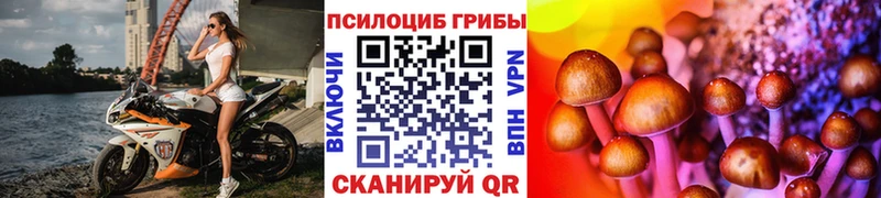 Псилоцибиновые грибы Magic Shrooms  Судогда 